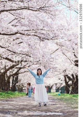 Woman tourist sightseeing Kitakami Tenshochi Park with Sakura Cherry Blossom in Spring, traveler travel in Kitakami festival, Iwate prefecture, Japan. Landmark for Travel and Vacation destination Woman tourist sightseeing Kitakami Tenshochi Park with Sakura Cherry Blossom in Spring, traveler travel in Kitakami festival, Iwate prefecture, Japan. Landmark for Travel and Vacation destination 132970986