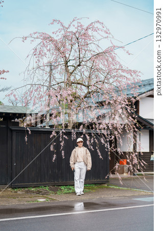 Woman tourist sightseeing Sakura Cherry Blossom in Spring. Happy traveler travel in Samurai village or Little Kyoto in Kakunodate town, Semboku District, Akita Prefecture, Japan. Landmark and Vacation Woman tourist sightseeing Sakura Cherry Blossom in Spring. Happy traveler travel in Samurai village or Little Kyoto in Kakunodate town, Semboku District, Akita Prefecture, Japan. Landmark and Vacation 132970991