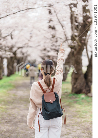 Woman tourist sightseeing Sakura Cherry Blossom in Spring. Happy traveler travel near Hinokinai River riverbank in Kakunodate town, Semboku District, Akita Prefecture, Japan. Landmark and Vacation 132971001