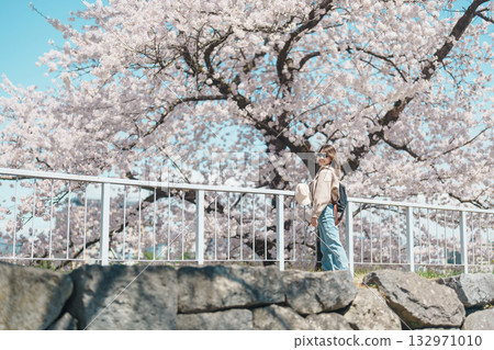 Woman tourist sightseeing Sakura Cherry blossom at Morioka Castle Ruins park in Spring, happy traveler travel in Iwate Park, Iwate prefecture, Japan. famous Landmark Travel and Vacation destination Woman tourist sightseeing Sakura Cherry blossom at Morioka Castle Ruins park in Spring, happy traveler travel in Iwate Park, Iwate prefecture, Japan. famous Landmark Travel and Vacation destination 132971010