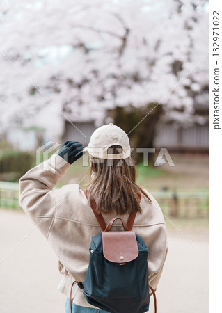 Woman tourist sightseeing Hirosaki Castle park with Sakura Cherry Blossom in Spring, traveler travel in Hirosaki city, Aomori, Tohoku, Japan. Landmark famous in Japan. Travel and Vacation destination 132971022