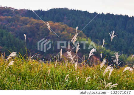 Falls of Satoyama 132971087