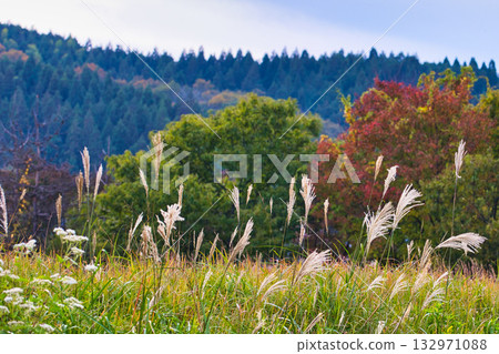 Falls of Satoyama 132971088
