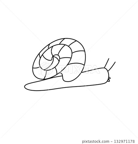 A snail is drawn in a spiral shape 132971178