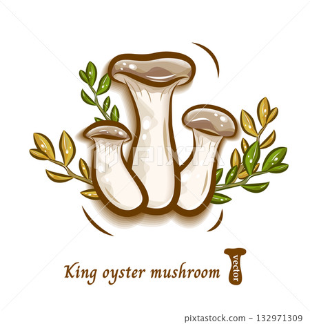 Illustration of king oyster mushrooms and forest leaves | Pop and cute mushroom vector material Illustration of king oyster mushrooms and forest leaves | Pop and cute mushroom vector material 132971309