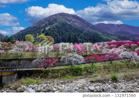 Hanamo no Sato Hanamo no Sato 132971560