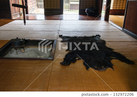 bear skin 132972206