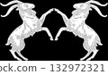 Twin goats 132972321