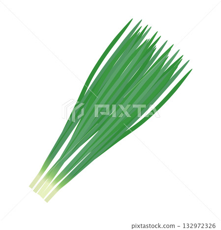 韭菜葉類蔬菜的插畫素材 132972326