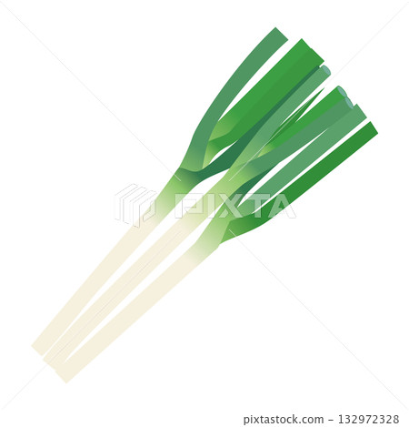 蔥葉類蔬菜插畫素材 132972328