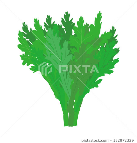 Shungiku leafy vegetables illustration material 132972329