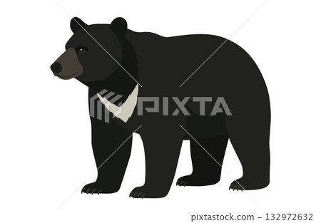 Asian black bears 132972632