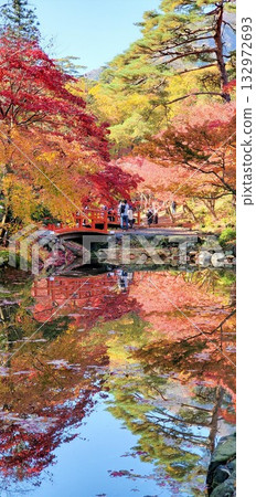 Yahiko's Momijidani, autumn leaves reflected on the water Yahiko's Momijidani, autumn leaves reflected on the water 132972693