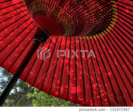 紅色的雨傘 紅色的雨傘 132972987
