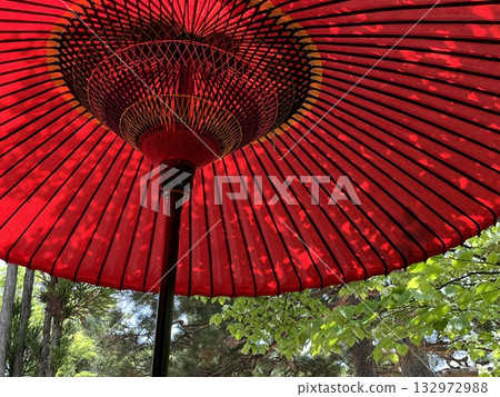 紅色的雨傘 132972988