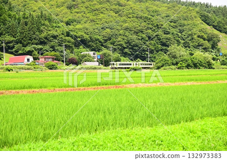 從路邊站「遠之風之丘」附近的稻田裡看到的釜石線 從路邊站「遠之風之丘」附近的稻田裡看到的釜石線 132973383