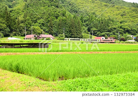 從路邊站「遠之風之丘」附近的稻田裡看到的釜石線 132973384