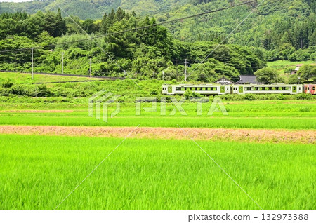 從路邊站「遠之風之丘」附近的稻田裡看到的釜石線 132973388