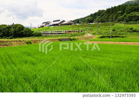 從路邊站「遠之風之丘」附近的稻田裡看到的釜石線 132973393