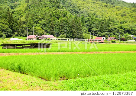 The Kamaishi Line as seen from the rice paddies near the roadside station Tono Kaze no Oka The Kamaishi Line as seen from the rice paddies near the roadside station Tono Kaze no Oka 132973397