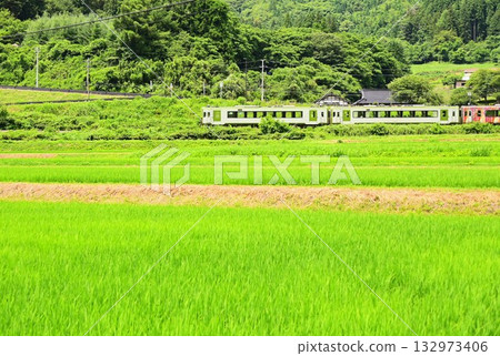 從路邊站「遠之風之丘」附近的稻田裡看到的釜石線 132973406