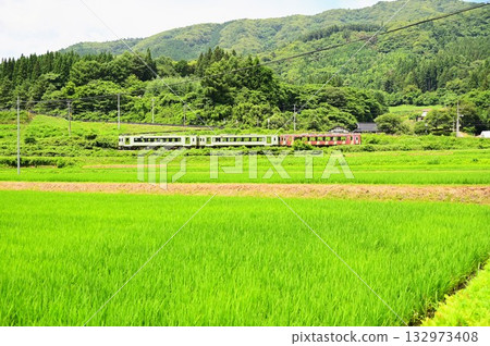 從路邊站「遠之風之丘」附近的稻田裡看到的釜石線 從路邊站「遠之風之丘」附近的稻田裡看到的釜石線 132973408