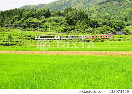 The Kamaishi Line as seen from the rice paddies near the roadside station Tono Kaze no Oka 132973409