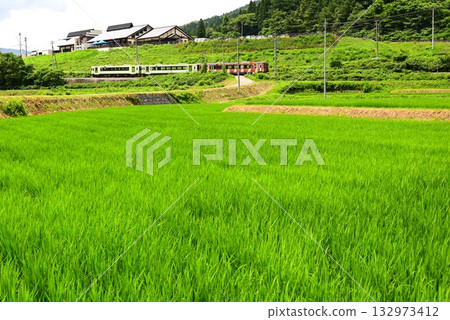 從路邊站「遠之風之丘」附近的稻田裡看到的釜石線 132973412