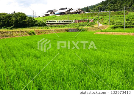 從路邊站「遠之風之丘」附近的稻田裡看到的釜石線 132973413