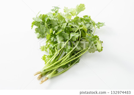 Pakuti (coriander) 132974483