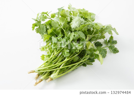 Pakuti (coriander) 132974484