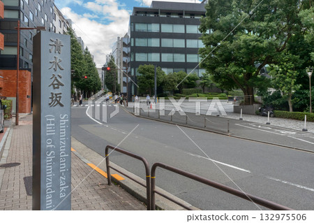 Shimizutanizaka in Kojimachi, Chiyoda Ward, Tokyo 132975506