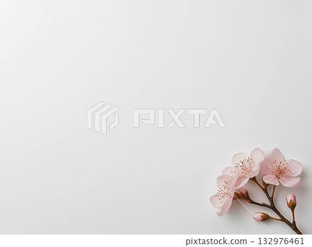 Spring cherry blossom and washi paper illustrations 132976461