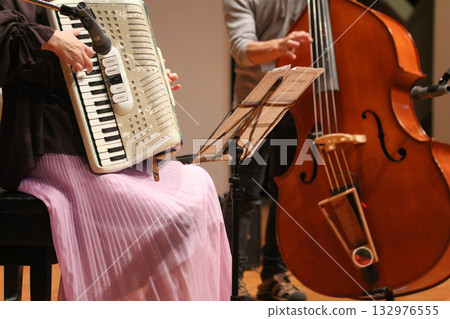 演奏樂器 演奏樂器 132976555