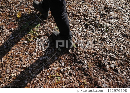 Person walking on wood chips (close-up of feet) 132976598