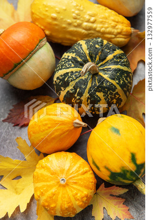 Autumn gourds pumpkins and squash decorating a fall setup 132977559