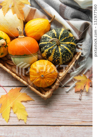Assorted pumpkins and gourds in an autumn basket Assorted pumpkins and gourds in an autumn basket 132977560