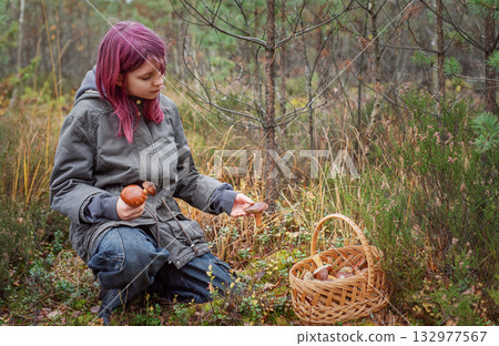 Young girl mushroom picking in autumn forest Young girl mushroom picking in autumn forest 132977567