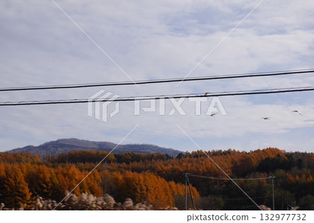 A mountain with beautiful autumn leaves A mountain with beautiful autumn leaves 132977732