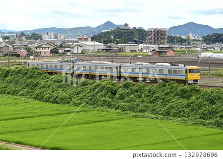 Inuyama Castle and Kiha 95 Doctor Tokai DR2 formation Inuyama Castle and Kiha 95 Doctor Tokai DR2 formation 132978696