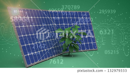 Showing solar panel and plant standing on green backdrop, with data overlays, waveforms, lens flare Showing solar panel and plant standing on green backdrop, with data overlays, waveforms, lens flare 132979333