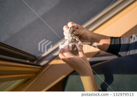 Housewife cleaning windows Housewife cleaning windows 132979513