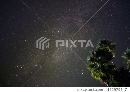 Starry sky and palm trees Starry sky and palm trees 132979547