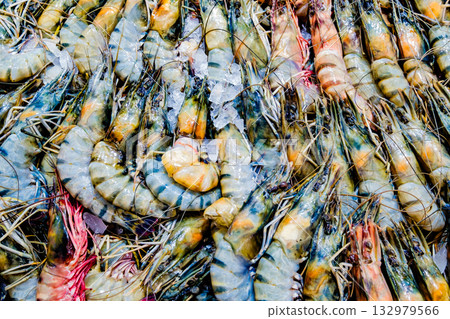 various shrimps or prawns, raw and fresh on ice various shrimps or prawns, raw and fresh on ice 132979566