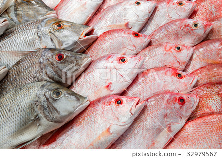 fishes, raw and fresh on ice, on market 132979567