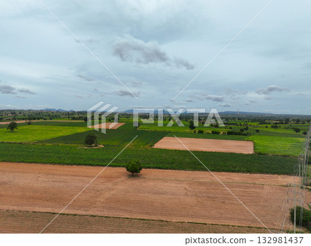 Aerial view of agricultural farmland showing cassava and sugarcane plantations after soil preparation, with wind turbines and power transmission towers in distant background. Sustainable agriculture. 132981437