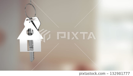 Swinging house-shaped metal keychain with dangling keys on silver key ring in entryway, copy space Swinging house-shaped metal keychain with dangling keys on silver key ring in entryway, copy space 132981777