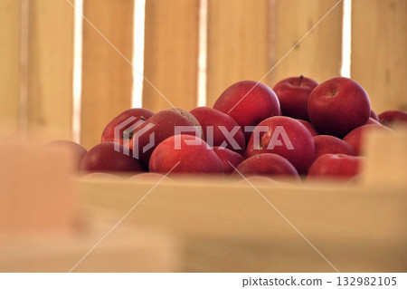 Apples in Wood Crates Ready for Shipping. Cold Storage Interior. Large Distribution Warehouse with Apples. Video Footage for Advertising. Juice, Cider, Vinegar Production. Food Factory. Fruit Industry 132982105