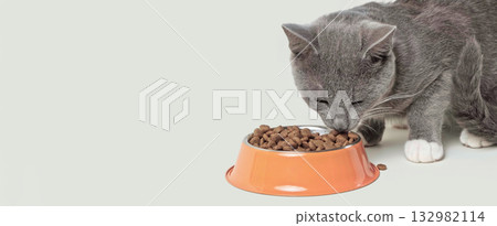 Cat Eating from Bowl. Young Cat Eats Food, Licking Tongue. Feline Feeding Isolated Neutral Background. Tabby Cat Eating Meat, Meal, Looking up, Down. Side View. Pet Food Banner. Domestic Animals Food 132982114