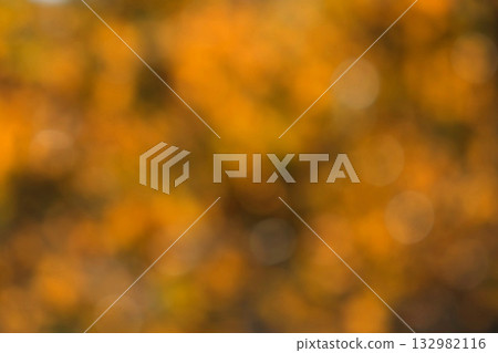 Fall blurred background. Out of focus natural bokeh backdrop. Autumn nature leaves Blur background. Sun shines through blowing on wind yellow and orange foliage. Shining sun through a golden fall tree 132982116